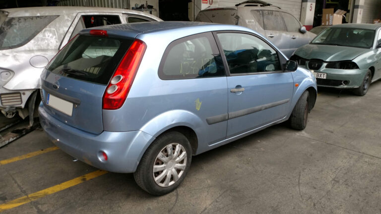 Ford Fiesta en Autodesguace CAT La Mina.