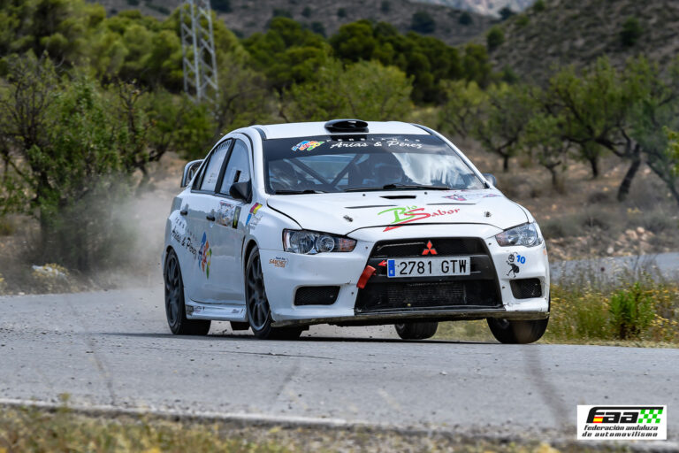 La provincia de Almería ha acogido la séptima edición del Rally Valle de Almanzora-Sierra de Filabres
